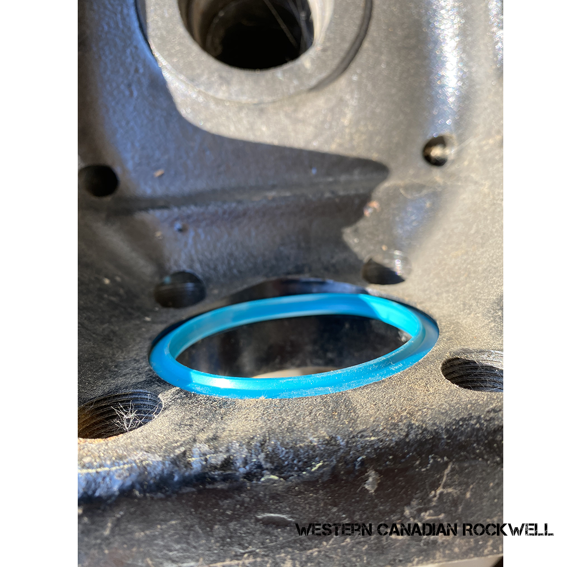 KING PIN SEAL, AXLETECH WESTERN CANADIAN ROCKWELL INC