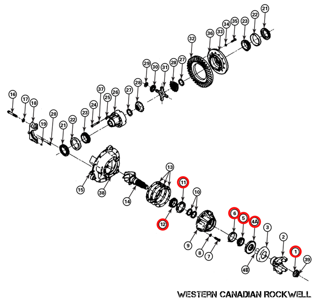 Pinion bearing discount